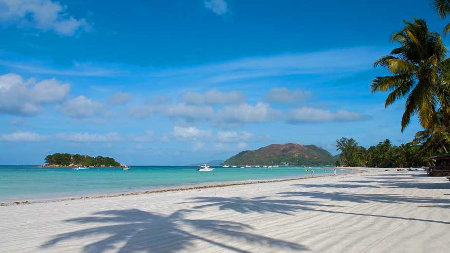 Côte d'Or, o coração da vida da ilha