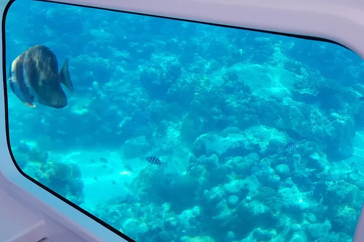 Semi-submarino no parque marinho de Sainte Anne