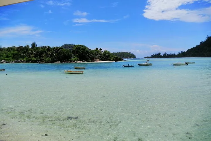 Tour de ilha em buggy ou SUV