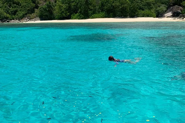 Reef Safari, snorkeling em Baie Ternay