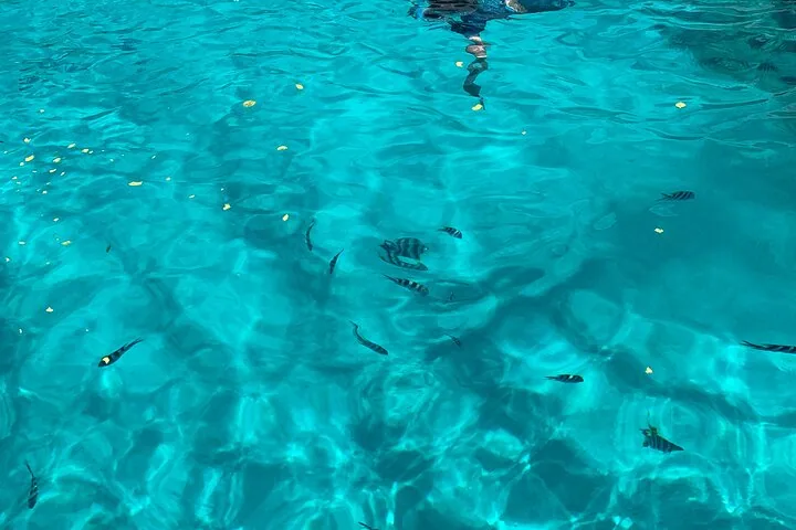 Reef Safari, snorkeling em Baie Ternay