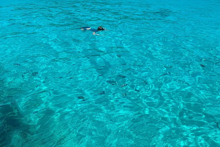 Reef Safari, snorkeling em Baie Ternay