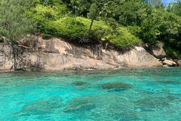 Reef Safari, snorkeling em Baie Ternay