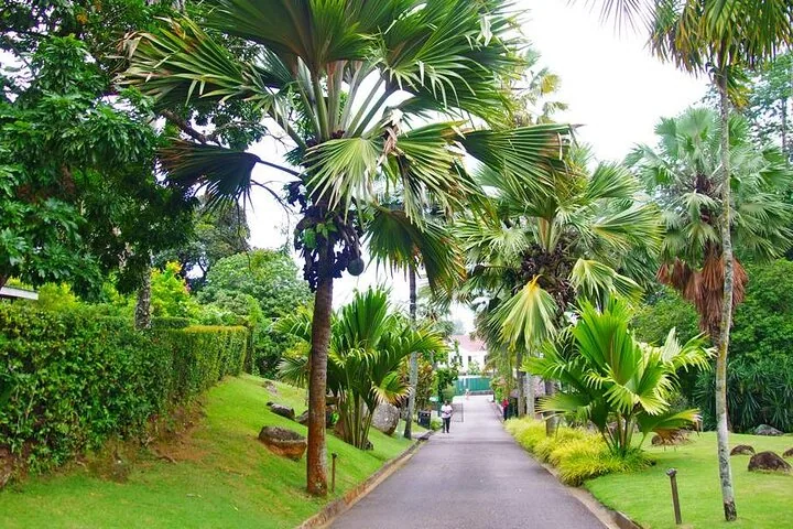 Tour privado de Mahé, dia inteiro, com recolha