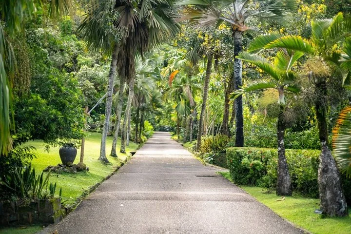 Tour privado de Mahé, dia inteiro, com recolha