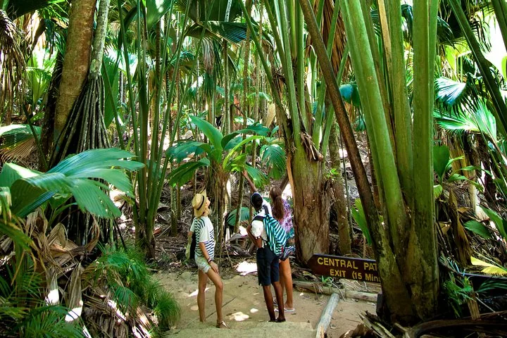 Vallée de Mai e o coco-de-mer, em Praslin