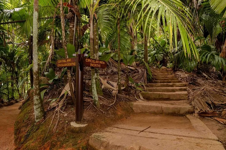 Vallée de Mai e o coco-de-mer, em Praslin